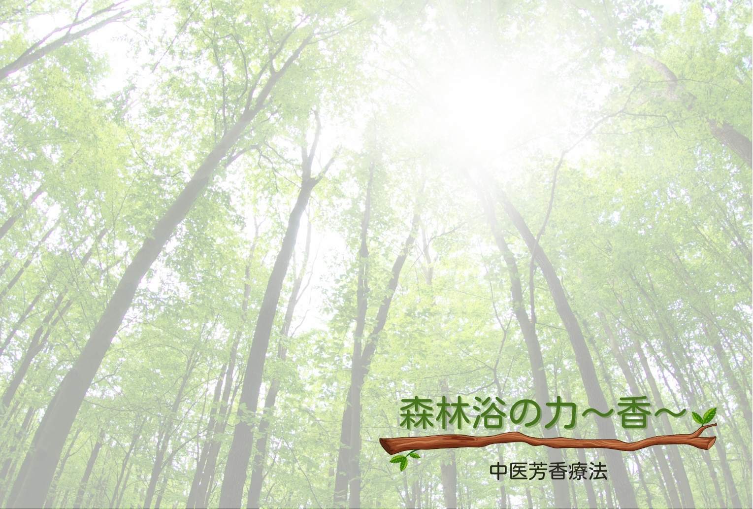 森林浴の力～香～